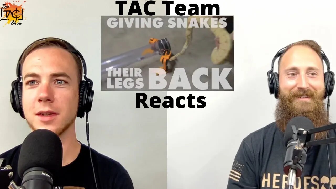 "giving snakes they're legs back" - TAC Team Reacts