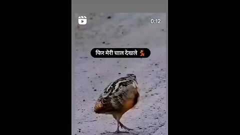 🙏