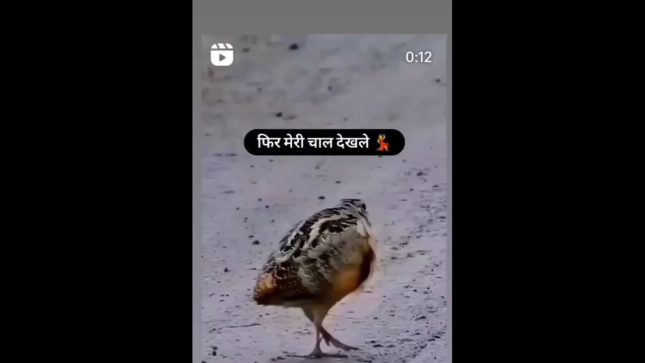 🙏