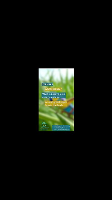 A Grasshopper: Russian-to-English #shorts