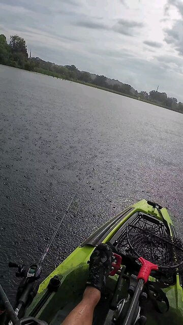 Just Fishin in the Rain 🌧