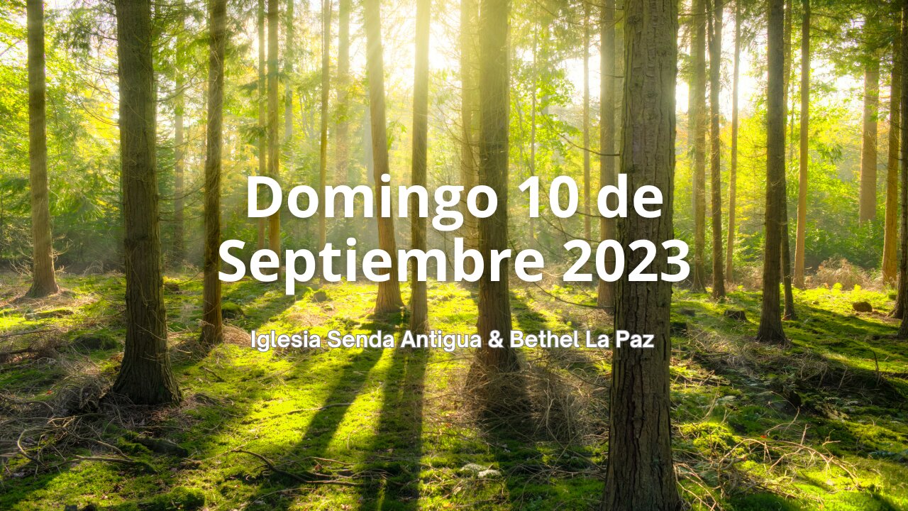 Domingo 10 de Septiembre 2023