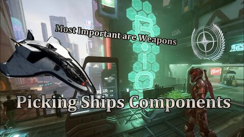 Star Citizen - Things I wish I had Known [Part 9] Picking Ships Components and Weapons