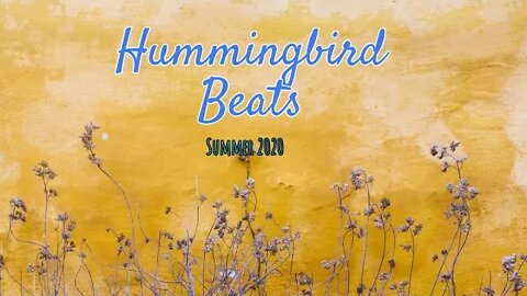 Flying High — Declan DP (No Copyright Music)