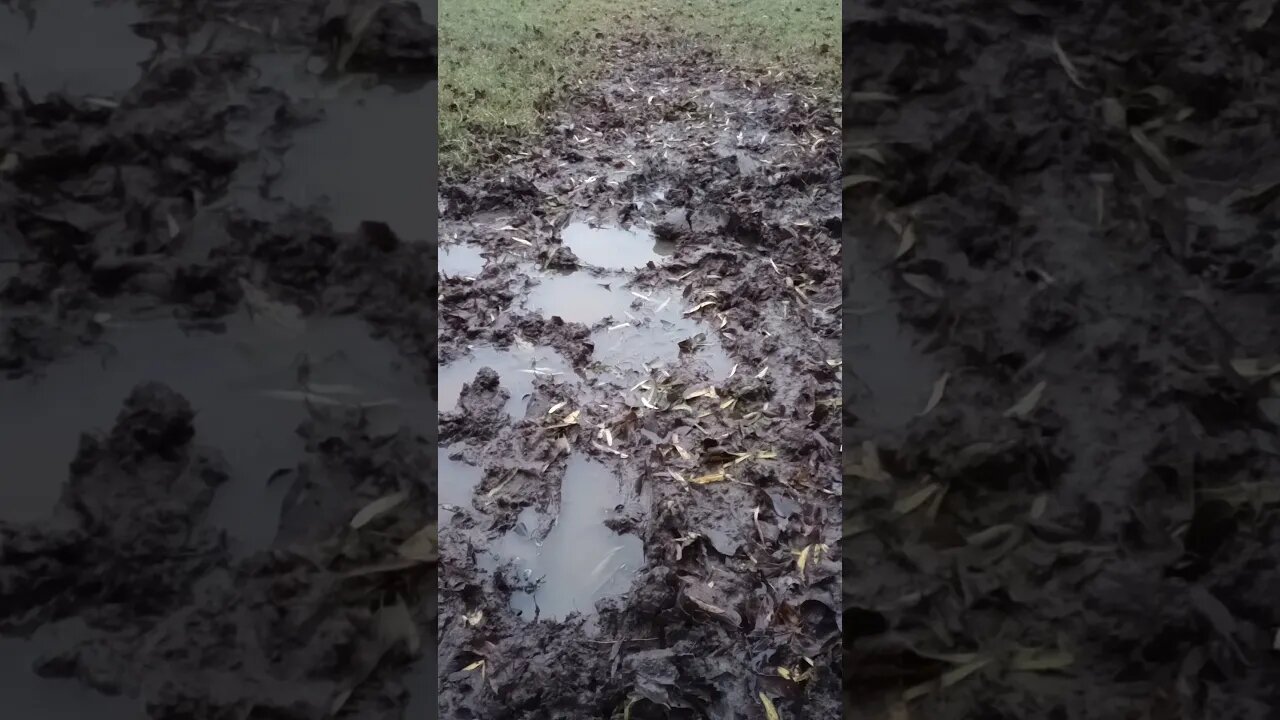 THE DAY WAS WET AND COLD (10/28/23)