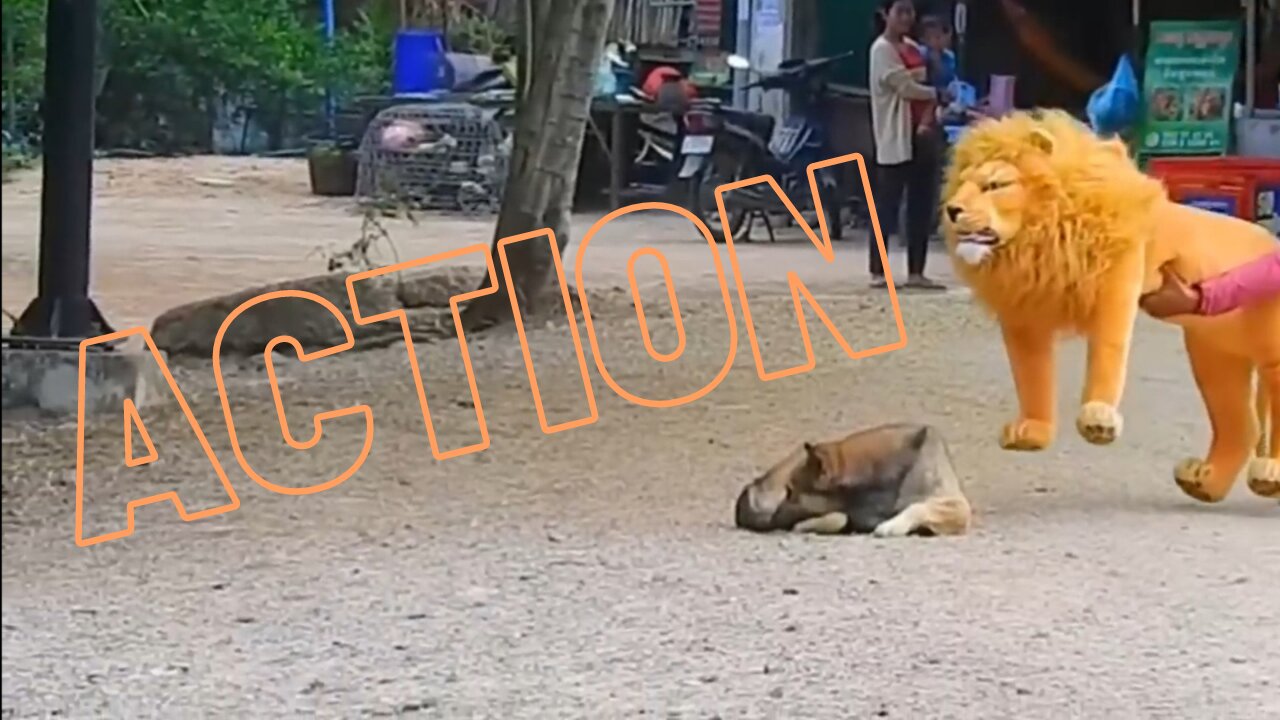See The Action