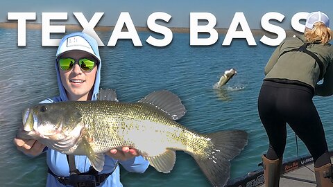 I Hooked Into a 13 Pound Largemouth Bass!