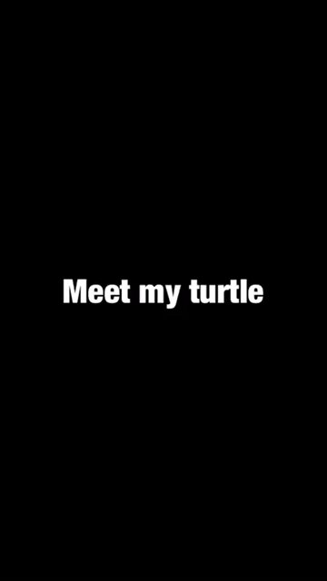 Meet my turtle
