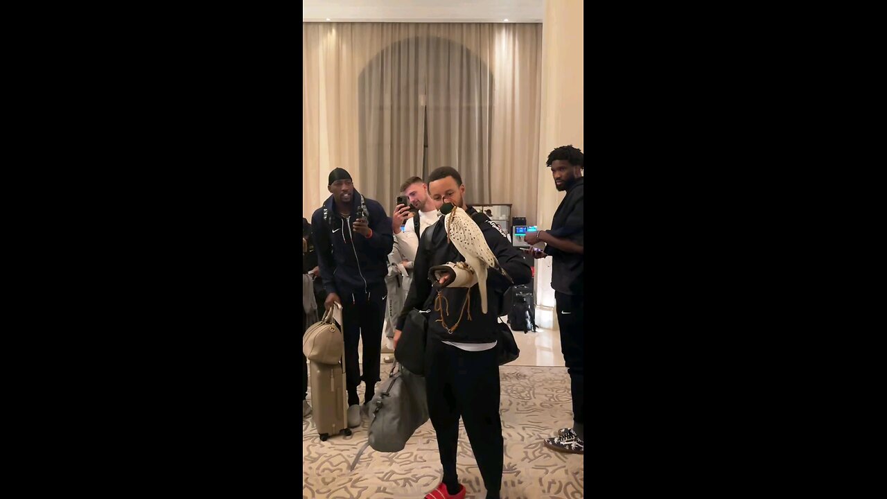 Steph Curry reaction after holding falcon #stephencurry #basketball #sports #nba #nfl #espn #fyp