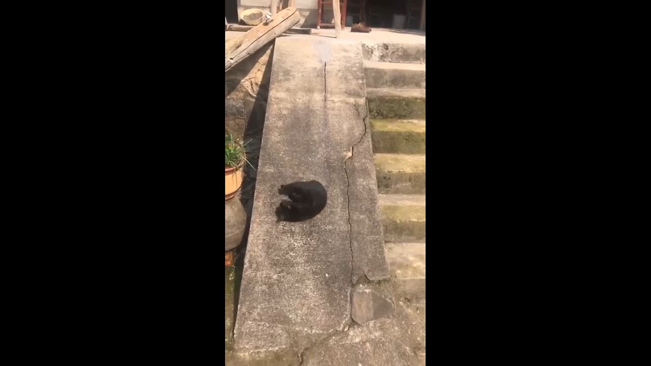 Entertains himself