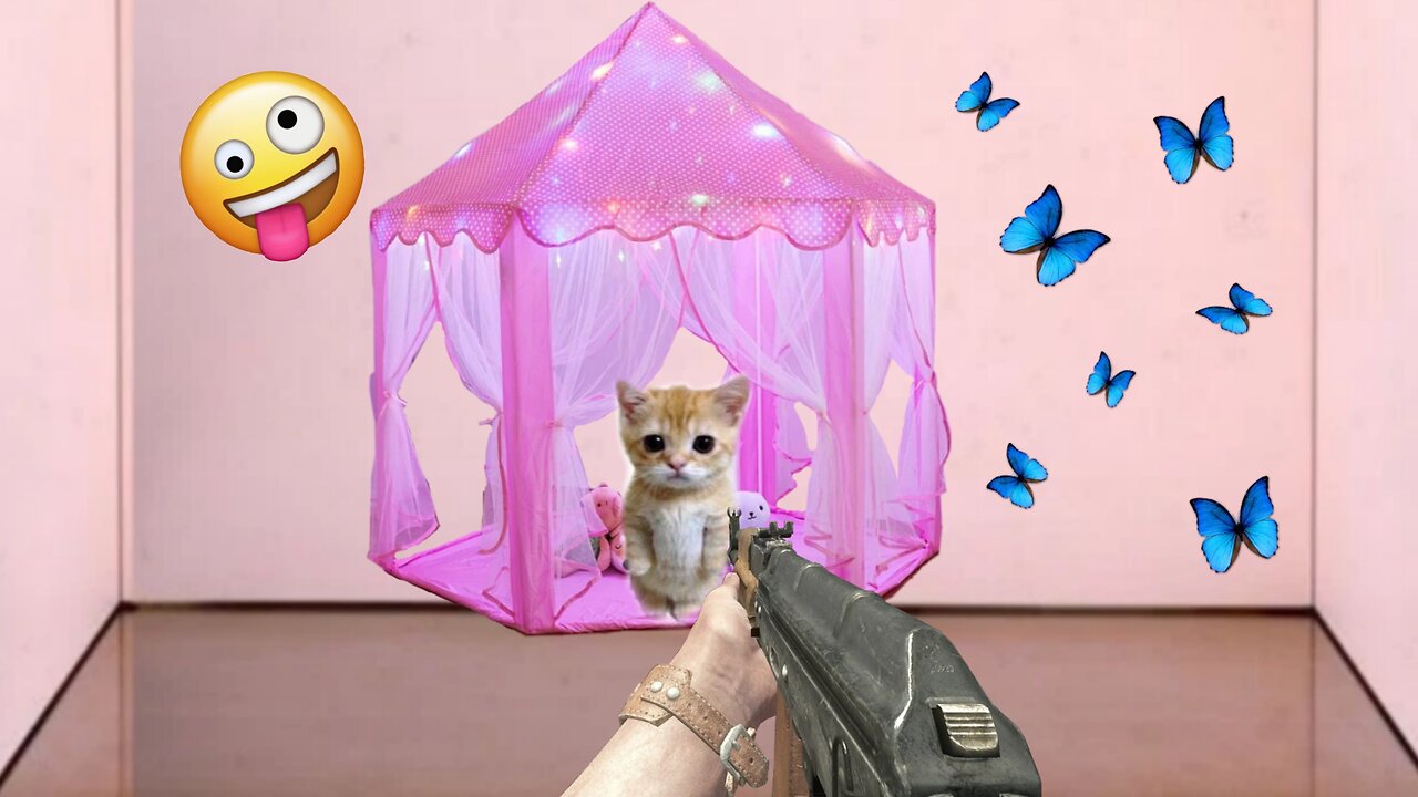 Mind-Blowing Tactics About Cats Vedio