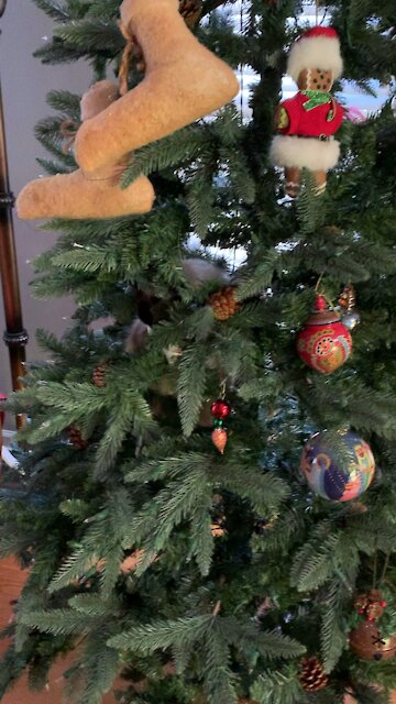 Cat in Christmas Tree - Dec 2021