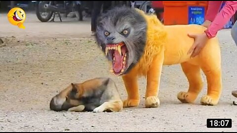 Troll Prank Dog funny & fake lion