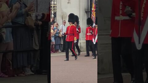 The Guards leave Buckingham Palace #horseguardsparade