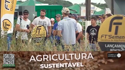 Conheça as cultivares de soja da FT Sementes apresentadas na Expodireto Cotrijal