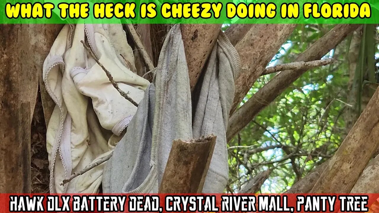 (S1 E12) Hawk DLX battery dead, solar charger, panty tree trip to Crystal River Mall, Florida