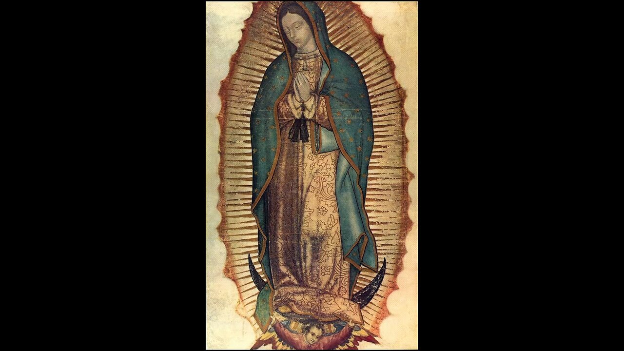 Virgin of Guadalupe ✨👸🏻🕊️🫡💫