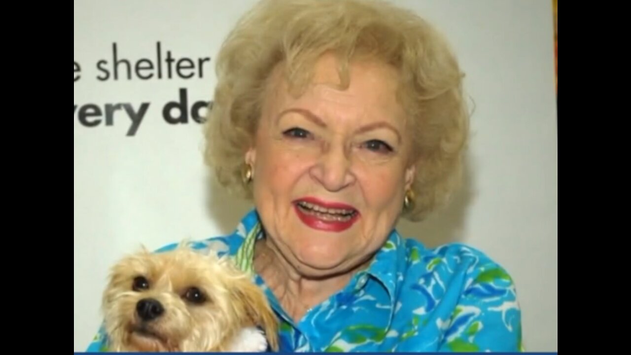 South Florida animal shelters benefit from Betty White Challenge