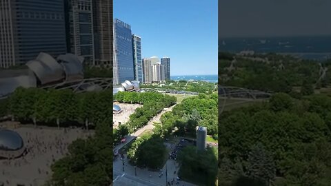 Chicago Bean From Cindy's Rooftop!