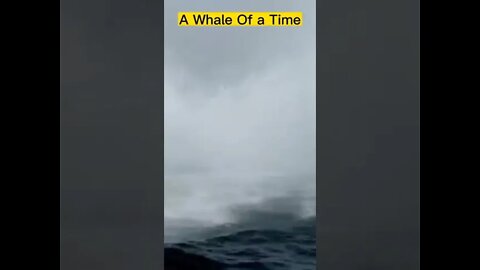 Amezing