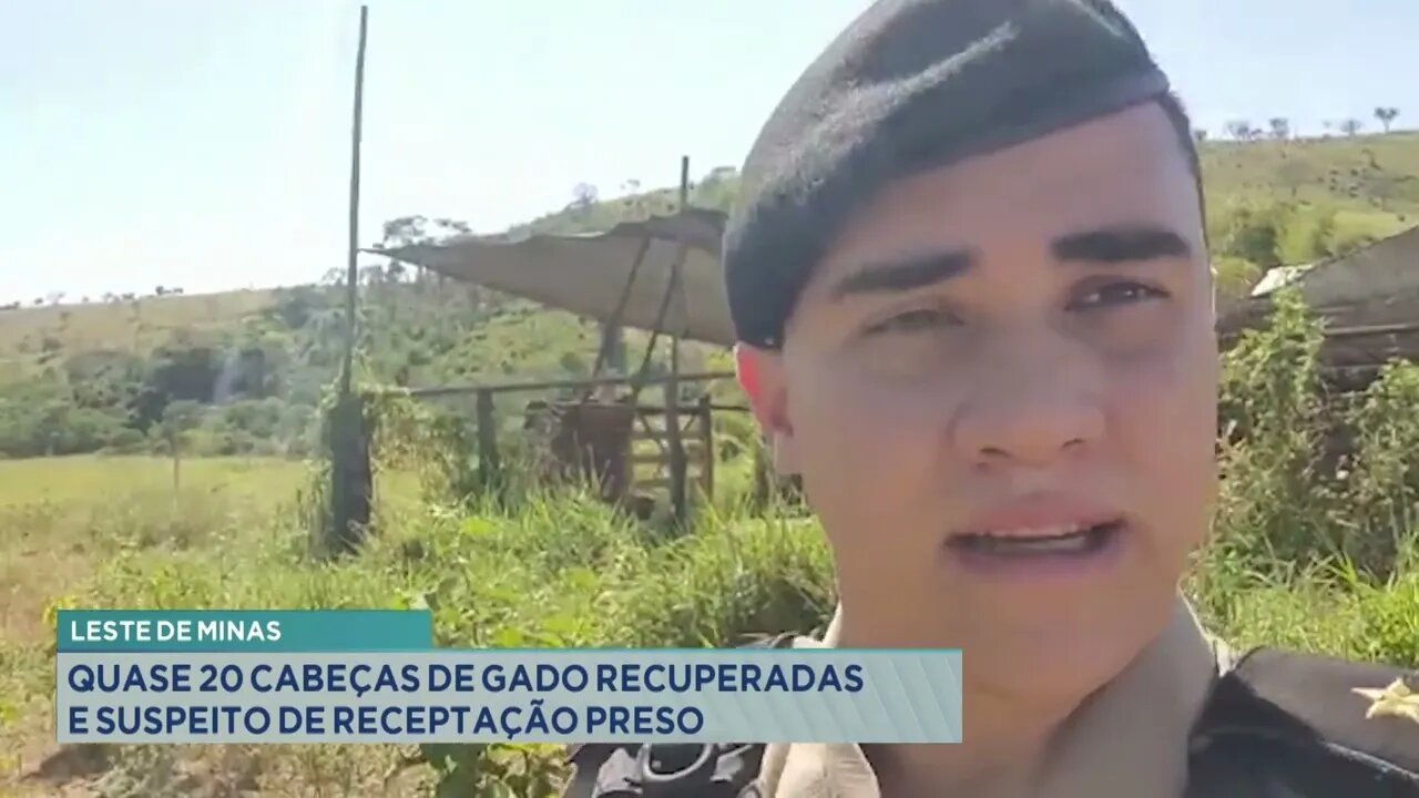 Leste de Minas: quase 20 cabeças de gado recuperadas e suspeito de receptação preso