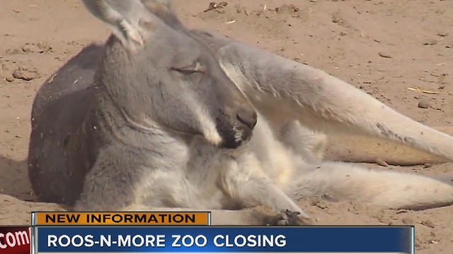 Roos-N-More to close its doors