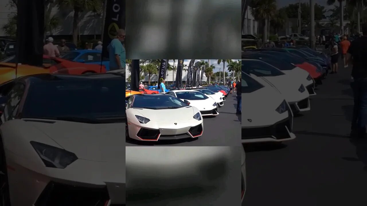 So MANY Lamborghinis! #shorts