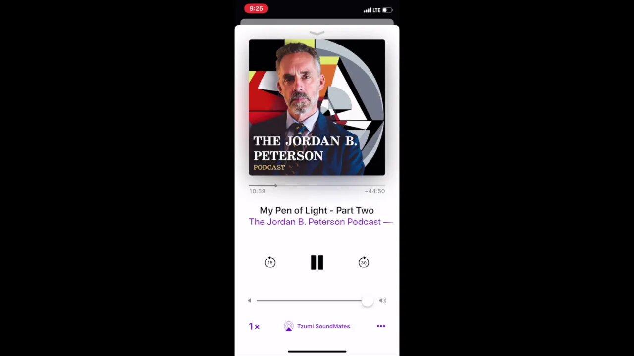 Jordan Peterson - Aiming for your Goals - Excerpts from My Pen of Light speech