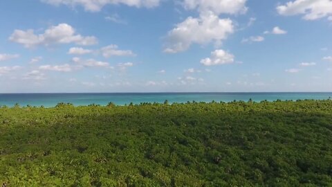 Creative Commons Video nature blue sky Creative Commons Videos and Songs nature video