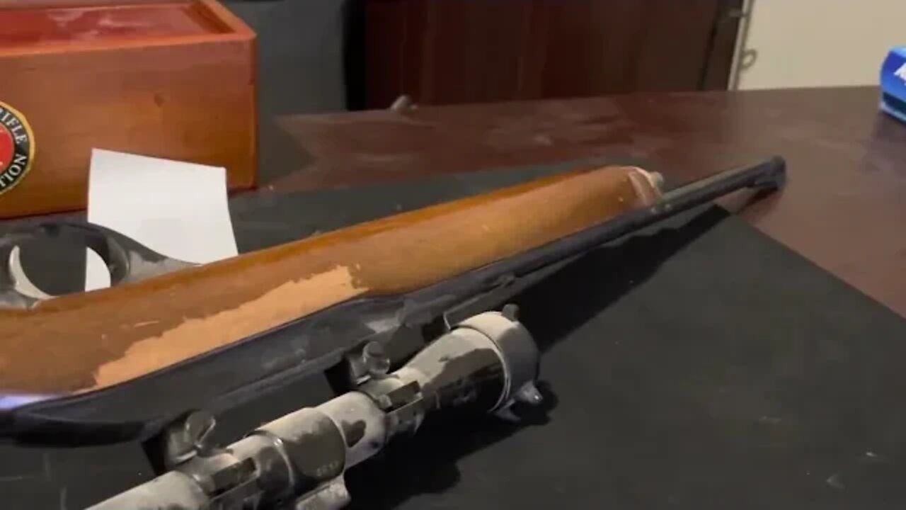 An old friend returns home