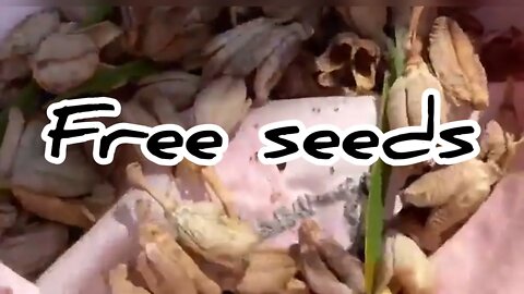 Free Plants for everyone #DavidGood #FreePlantsForEveryone￼#gerdenanswerers