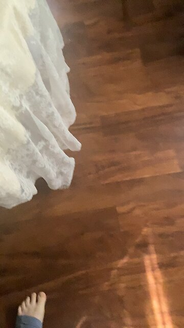 Cookie Monster be like