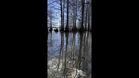 Kayaking Louisiana