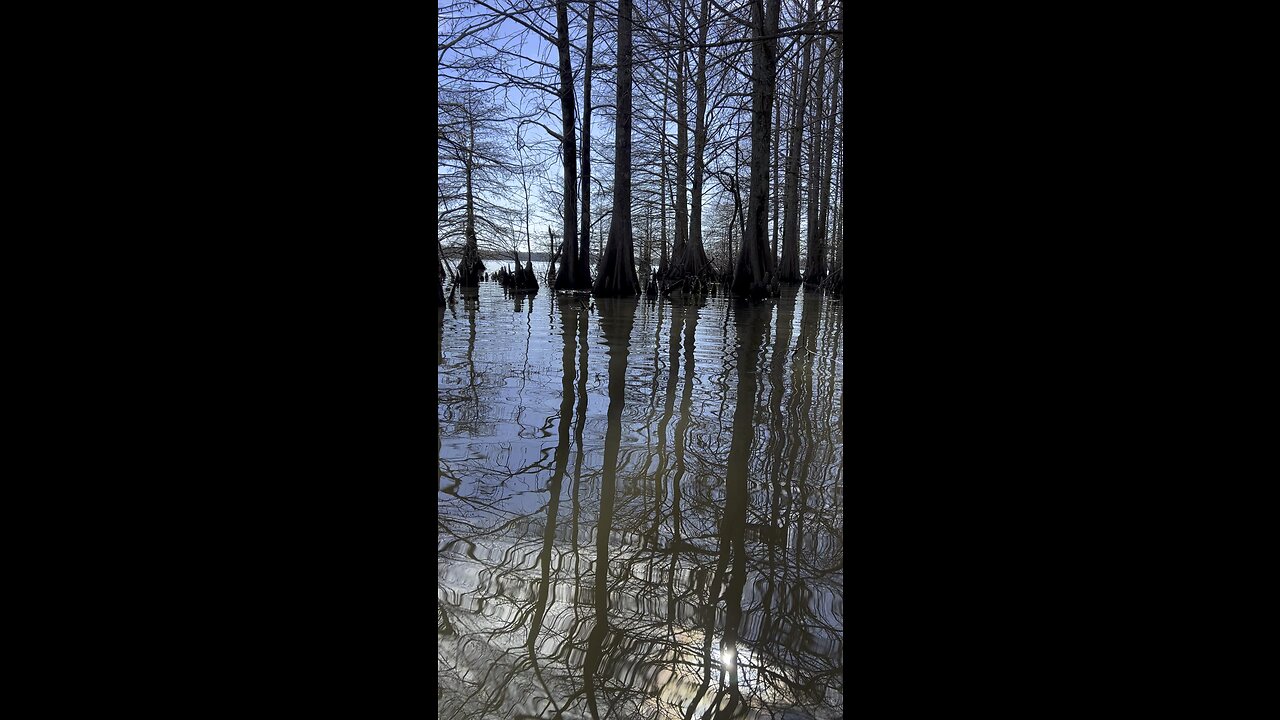 Kayaking Louisiana