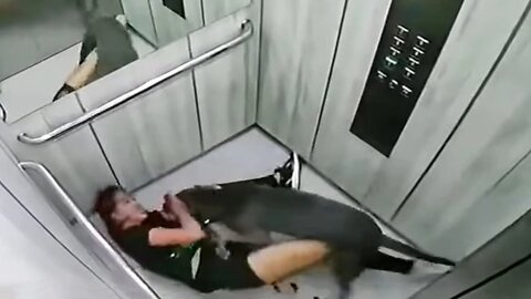 Gruesome video captures woman viciously mauled by pit bull in elevator