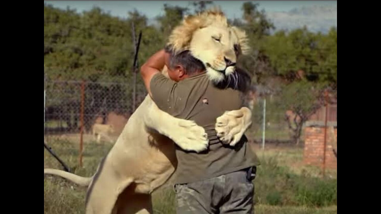 Animals reunite with their owners after years...