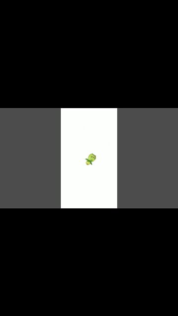 Smoliv Comes To Visit! A Pokemon Animation! (2022) #Shorts 🌿