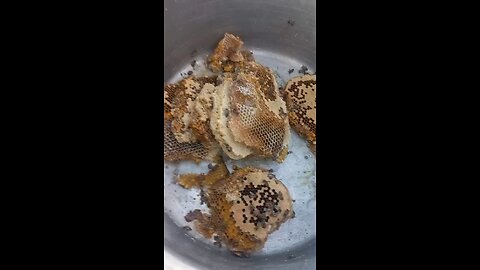 pure natural honey from bee hives