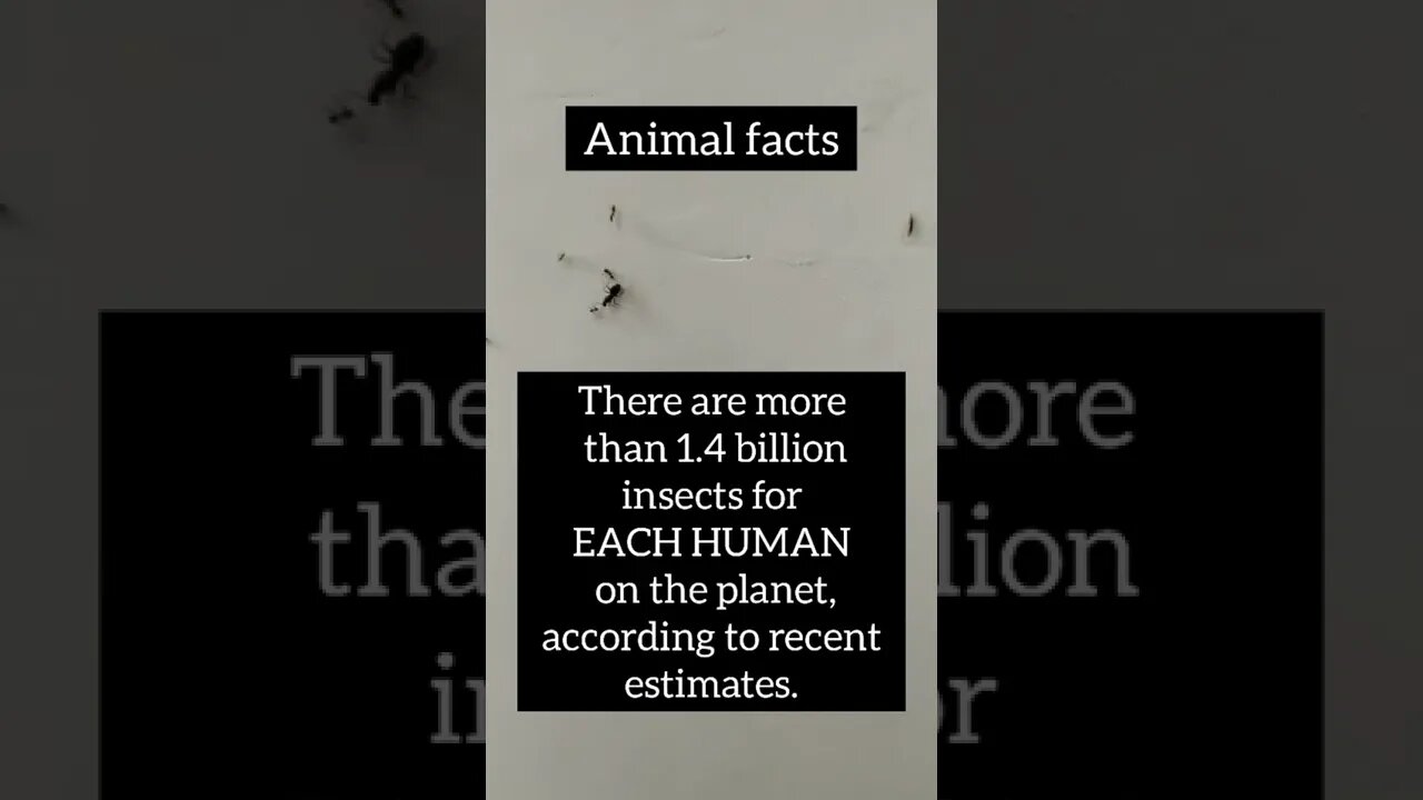 Facts about animals #shorts #psychology