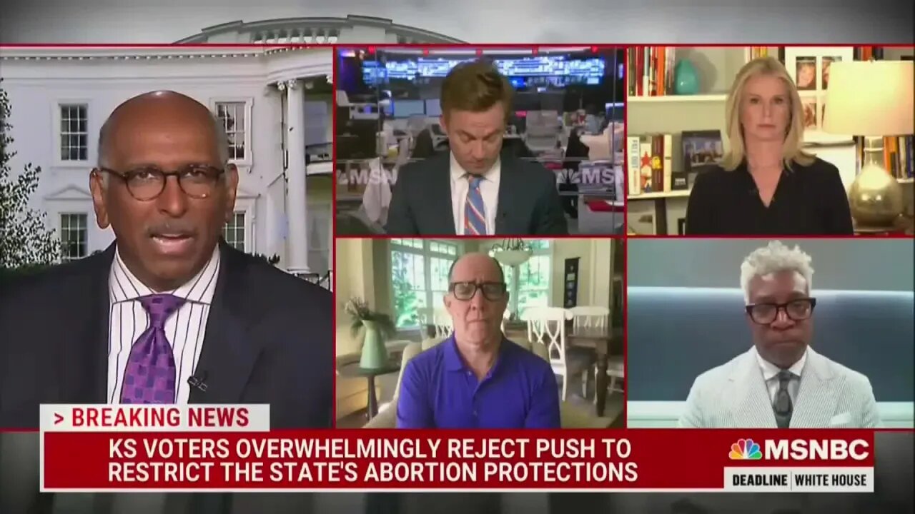 MSNBC Republicans despise all Republicans who don't work for MSNBC - 8/4/22