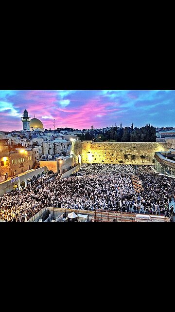 THE SON OF PERDITION: THE RED DRAGON & SONS OF THE WICKED (AMALEK, ESAU EDOM)🕎Zechariah 9:6 “And a bastard shall dwell in Ashdod, and I will cut off the pride of the Philistines.”