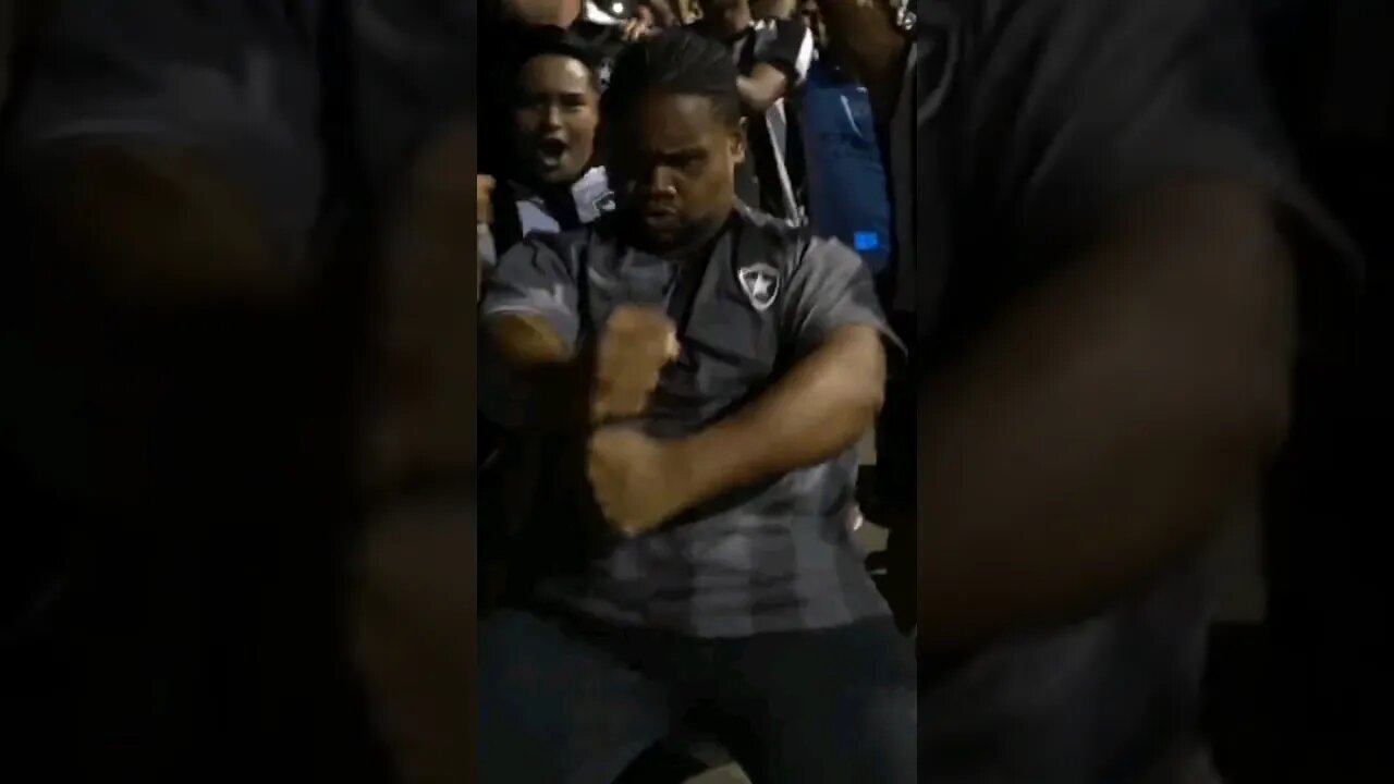 🔥🤣🤪ENLOUQUECIDA! NÃO TEM JEITO, A TORCIDA DO BOTAFOGO TÁ EMBALADA! #botafogo #brasileirão