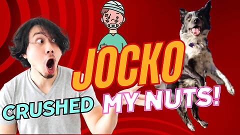 Jocko Crushed My Nuts! 😡