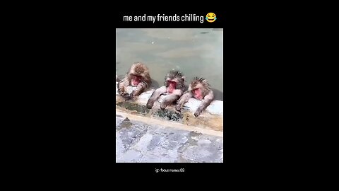 me and my friends chilling 😂