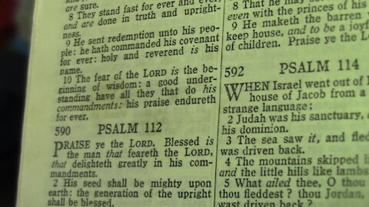 oh! the futility of pretty much everything *hence my faith in God