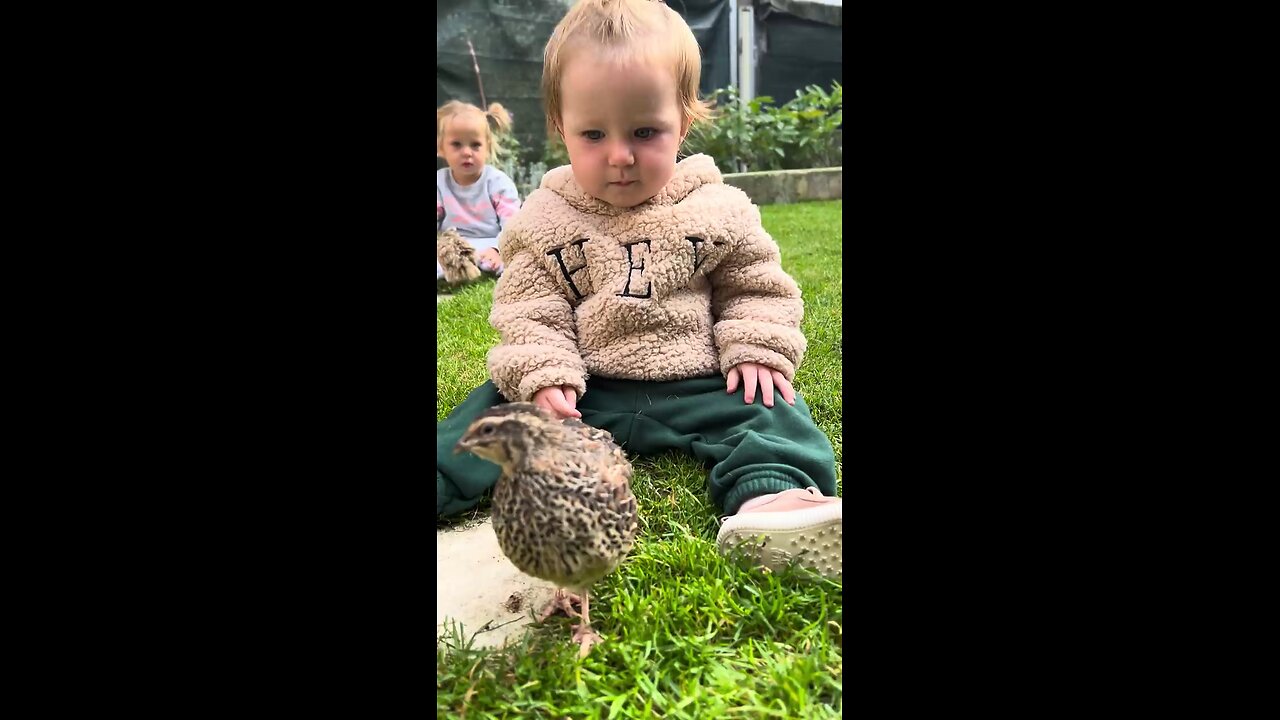first fluffy friend