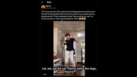 Craziness Headlines, Kamala, P Diddy, Med Tyranny, Nutcases, Save the Cats & Dogs, & Friday Funny