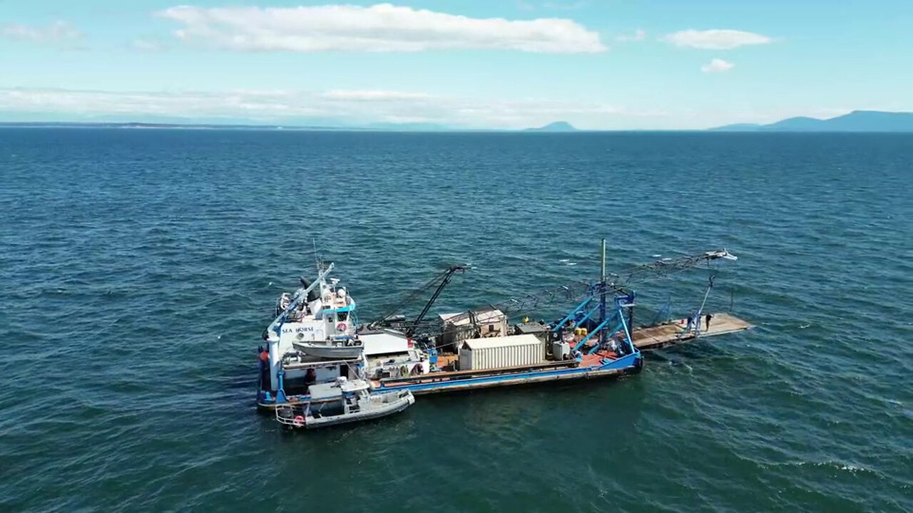 B-Roll - US Army deep sea divers retrieve derelict fishing nets