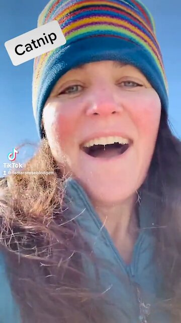 #snark #tamararoseblodgett