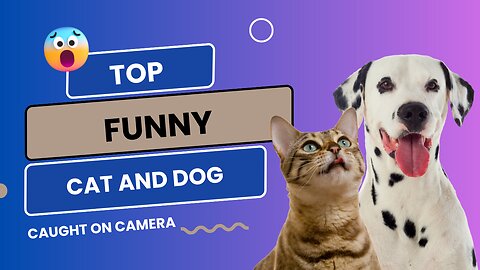 Laugh Out Loud with Funny Animal Videos 2023: Hilarious Dogs and Cats Moments 😁